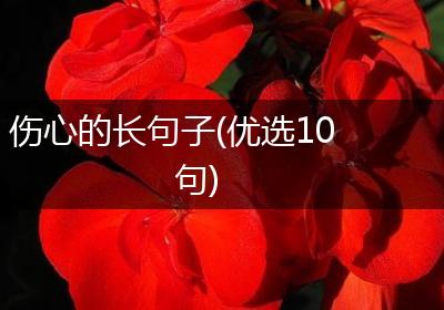 伤心的长句子(优选10句)