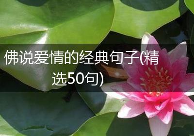 佛说爱情的经典句子(精选50句)