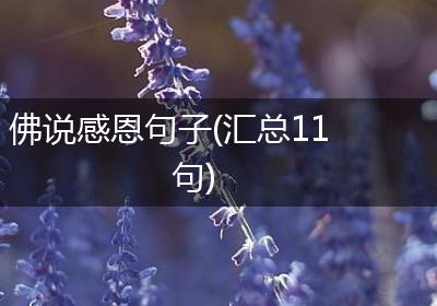 佛说感恩句子(汇总11句)