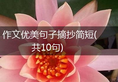 作文优美句子摘抄简短(共10句)