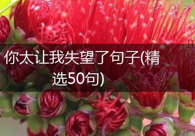 你太让我失望了句子(精选50句)