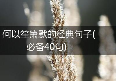 何以笙箫默的经典句子(必备40句)