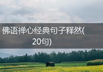 佛语禅心经典句子释然(20句)