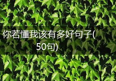 你若懂我该有多好句子(50句)