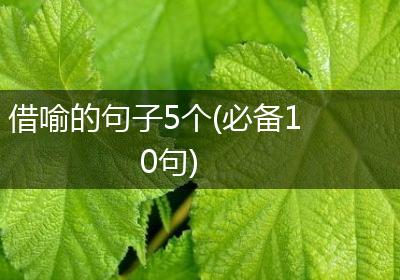 借喻的句子5个(必备10句)