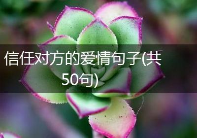 信任对方的爱情句子(共50句)