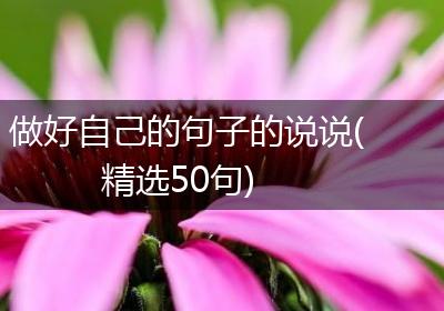 做好自己的句子的说说(精选50句)