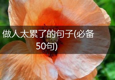 做人太累了的句子(必备50句)