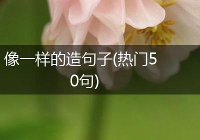 像一样的造句子(热门50句)
