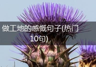 做工地的感慨句子(热门10句)
