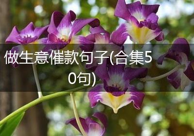 做生意催款句子(合集50句)