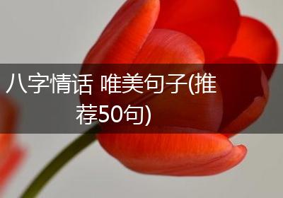 八字情话 唯美句子(推荐50句)