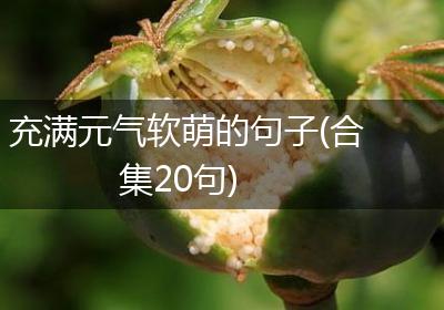 充满元气软萌的句子(合集20句)