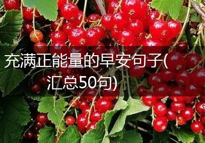 充满正能量的早安句子(汇总50句)