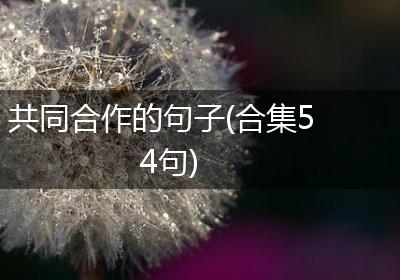 共同合作的句子(合集54句)