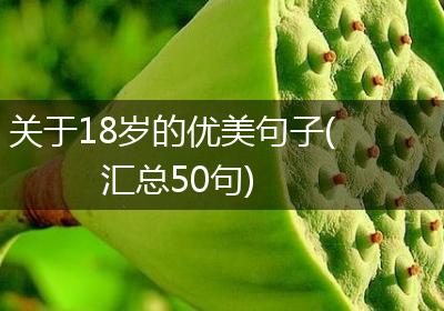 关于18岁的优美句子(汇总50句)