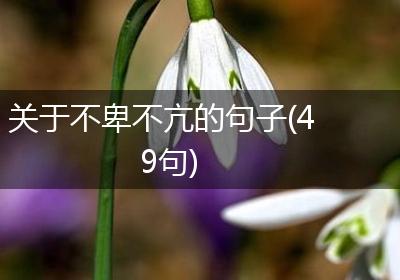 关于不卑不亢的句子(49句)