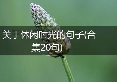 关于休闲时光的句子(合集20句)