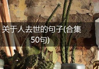 关于人去世的句子(合集50句)