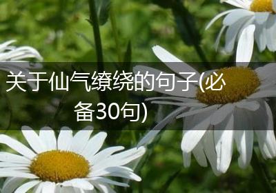 关于仙气缭绕的句子(必备30句)