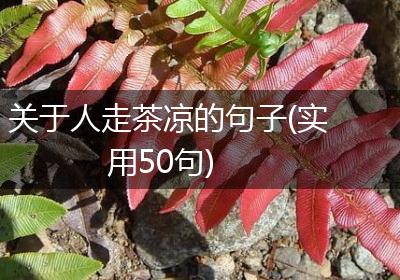 关于人走茶凉的句子(实用50句)