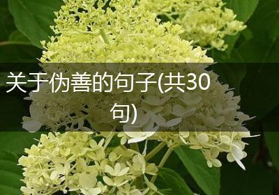关于伪善的句子(共30句)