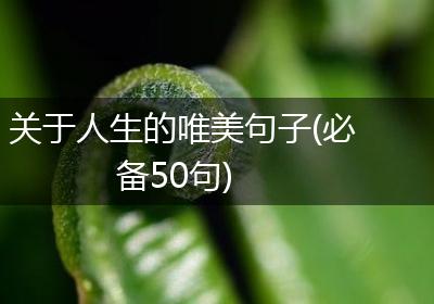 关于人生的唯美句子(必备50句)