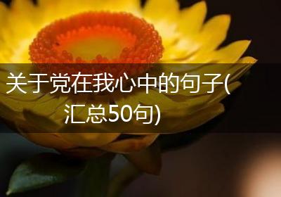 关于党在我心中的句子(汇总50句)