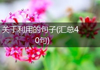 关于利用的句子(汇总40句)