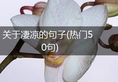 关于凄凉的句子(热门50句)