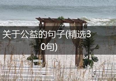 关于公益的句子(精选30句)