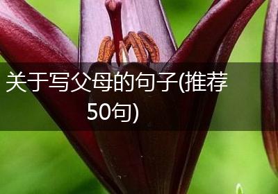 关于写父母的句子(推荐50句)