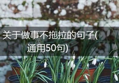 关于做事不拖拉的句子(通用50句)