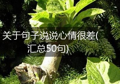 关于句子说说心情很差(汇总50句)