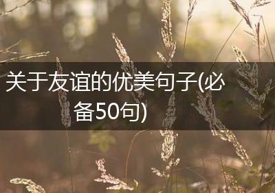 关于友谊的优美句子(必备50句)