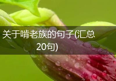 关于啃老族的句子(汇总20句)