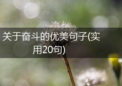 关于奋斗的优美句子(实用20句)