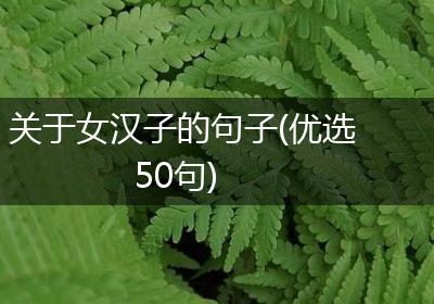 关于女汉子的句子(优选50句)