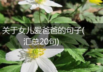 关于女儿爱爸爸的句子(汇总20句)