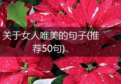 关于女人唯美的句子(推荐50句)