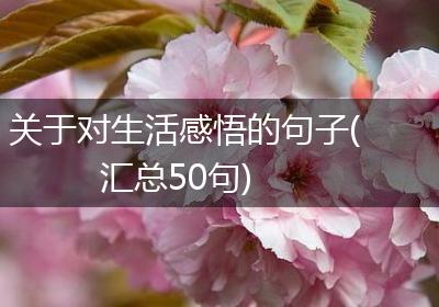 关于对生活感悟的句子(汇总50句)