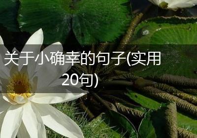 关于小确幸的句子(实用20句)