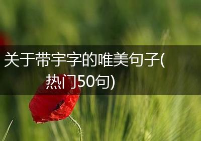 关于带宇字的唯美句子(热门50句)