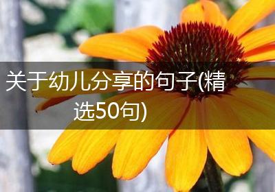 关于幼儿分享的句子(精选50句)