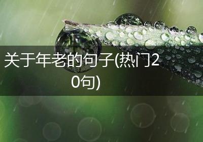 关于年老的句子(热门20句)