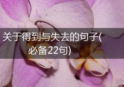 关于得到与失去的句子(必备22句)