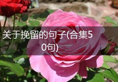 关于挽留的句子(合集50句)