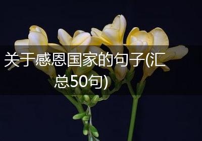 关于感恩国家的句子(汇总50句)