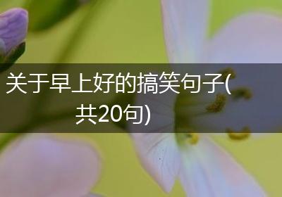 关于早上好的搞笑句子(共20句)