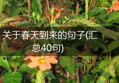 关于春天到来的句子(汇总40句)
